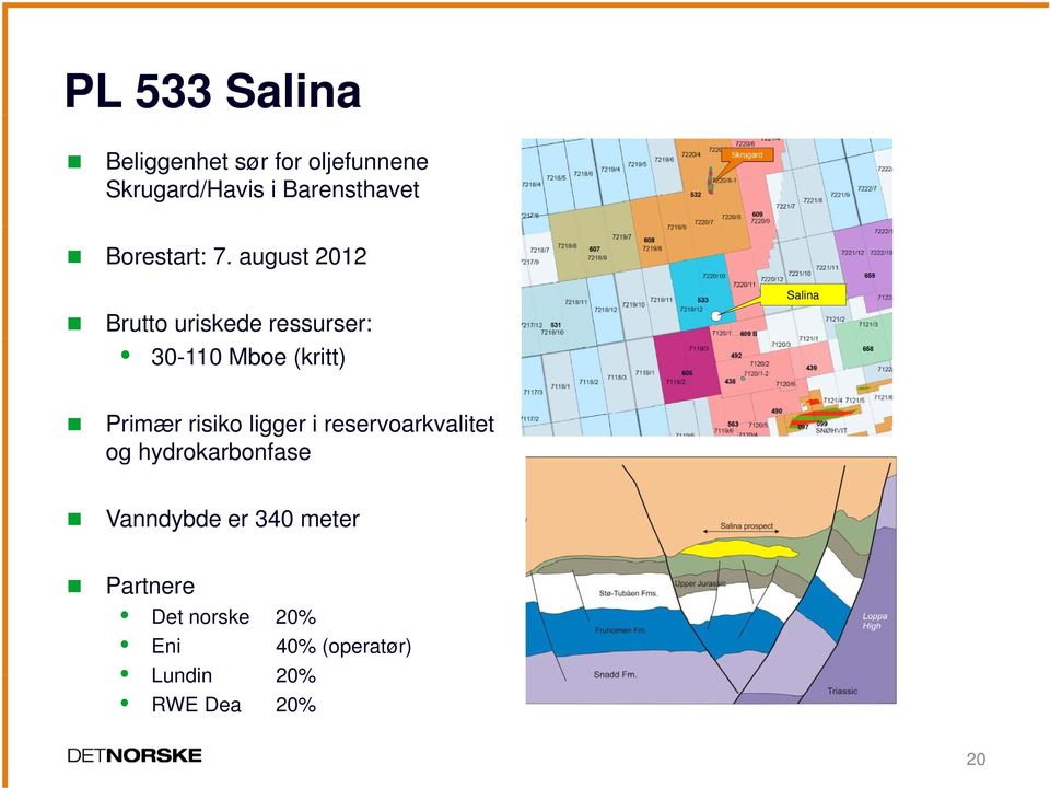 august 2012 Brutto uriskede ressurser: 30-110 Mboe (kritt) Salina Primær