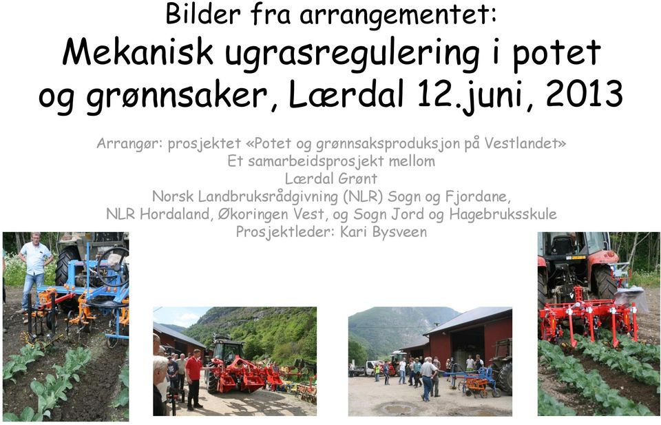 samarbeidsprosjekt mellom Lærdal Grønt Norsk Landbruksrådgivning (NLR) Sogn og