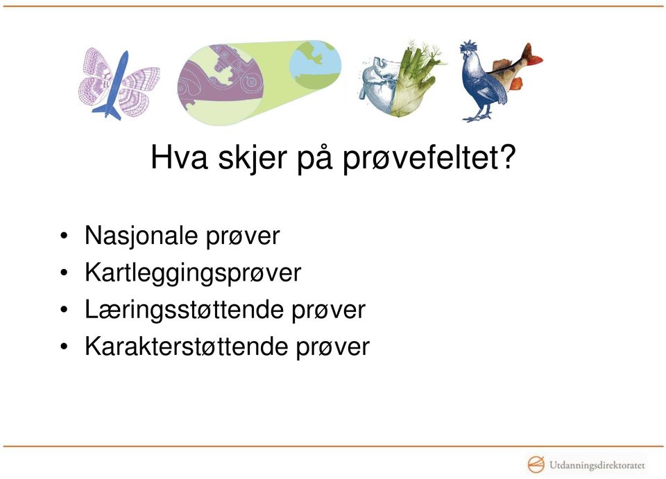 Kartleggingsprøver