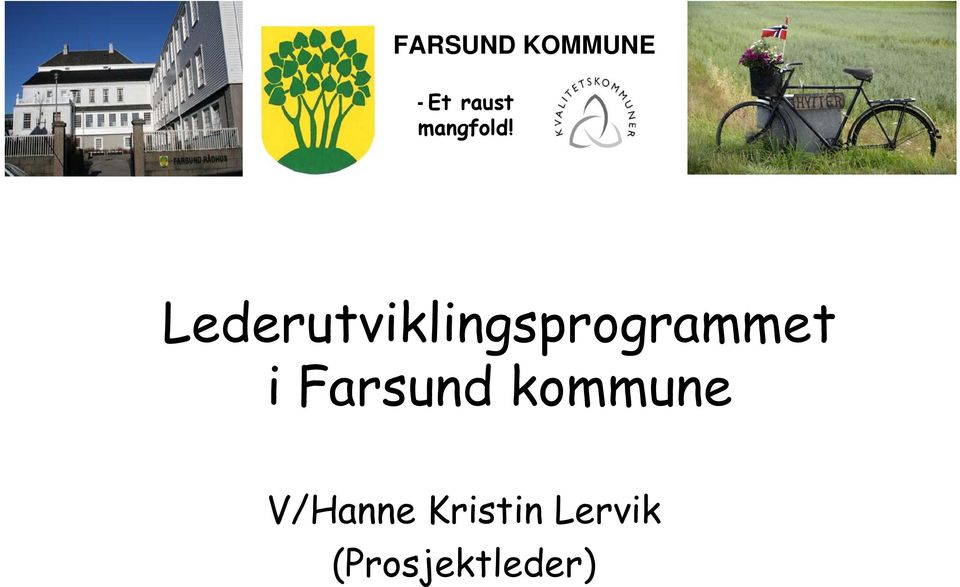 Lederutviklingsprogrammet i