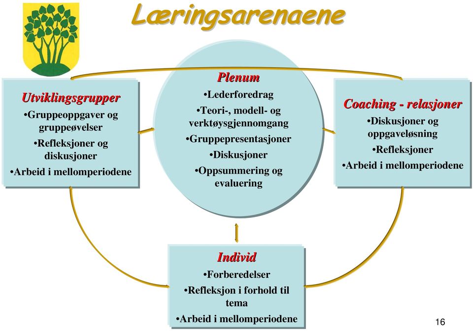 Diskusjoner Oppsummering og evaluering Coaching - relasjoner Diskusjoner og oppgaveløsning Refleksjoner