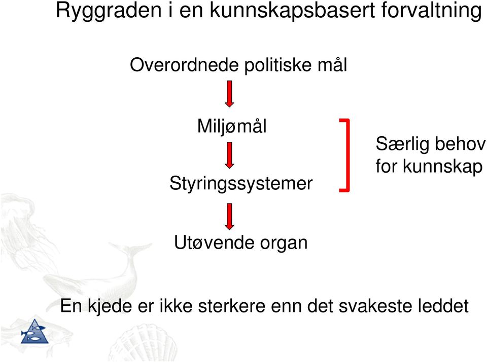 Styringssystemer Særlig behov for kunnskap