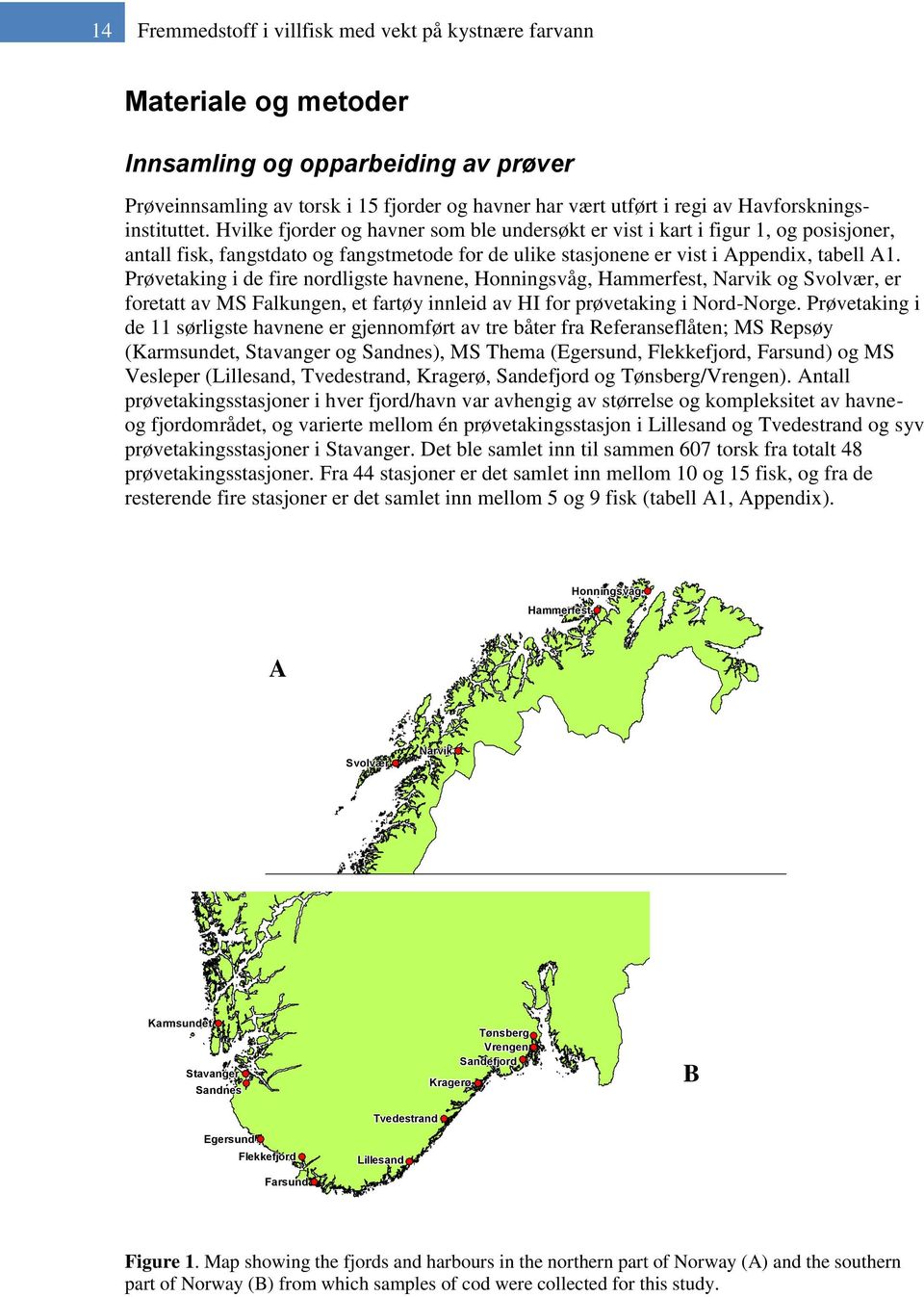Hvilke fjorder og havner som ble undersøkt er vist i kart i figur 1, og posisjoner, antall fisk, fangstdato og fangstmetode for de ulike stasjonene er vist i Appendix, tabell A1.