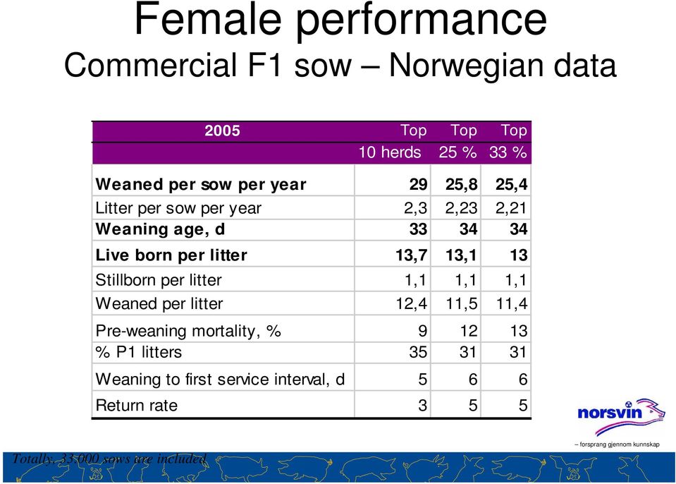 13,1 13 Stillborn per litter 1,1 1,1 1,1 Weaned per litter 12,4 11,5 11,4 Pre-weaning mortality, % 9 12 13 %