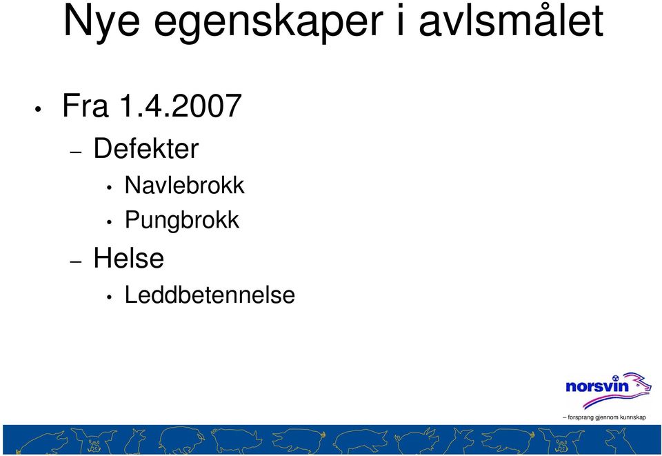 2007 Defekter