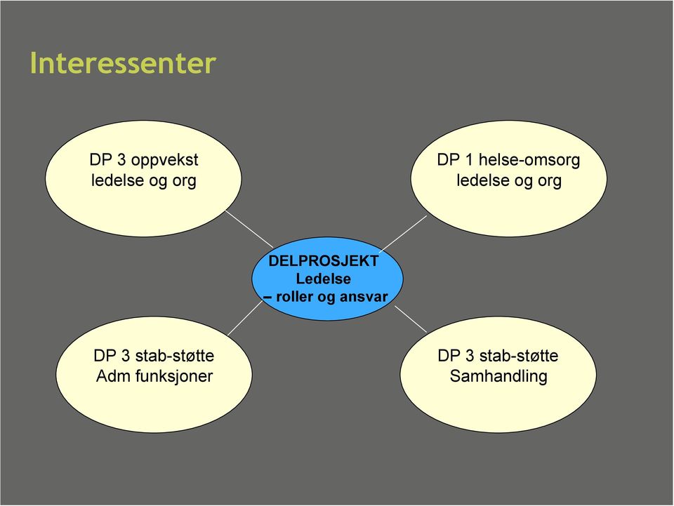 DELPROSJEKT Ledelse roller og ansvar DP 3