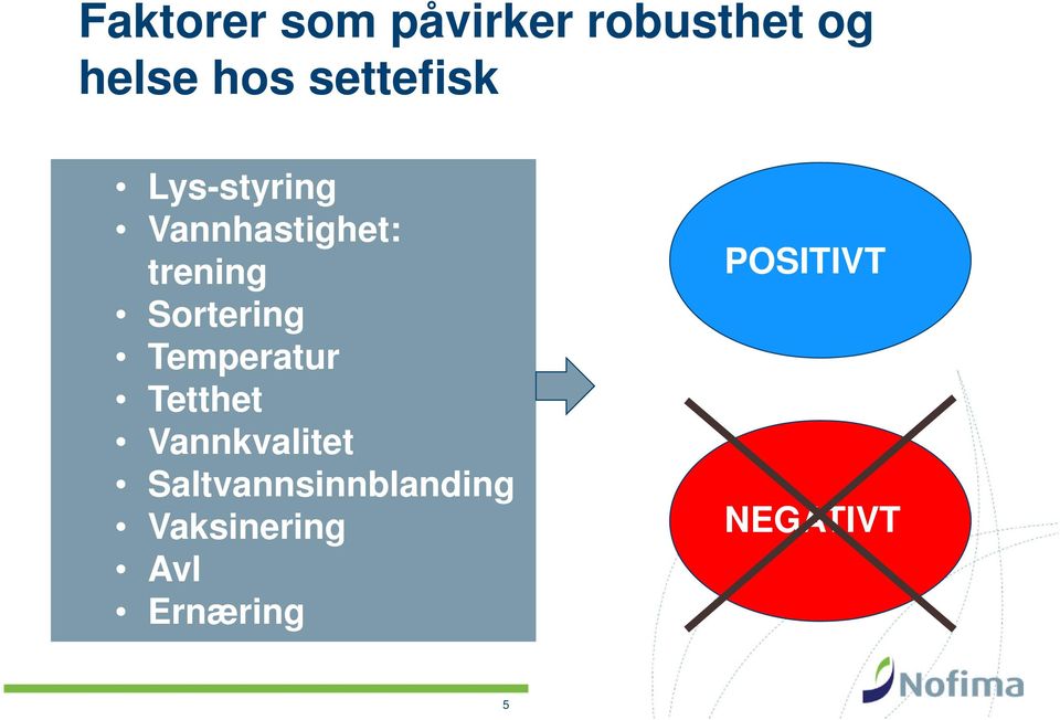 Sortering Temperatur Tetthet Vannkvalitet