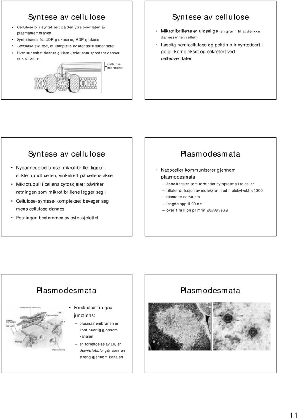 hemicellulose og pektin blir syntetisert i golgi-komplekset og sekretert ved celleoverflaten Syntese av cellulose Nydannede cellulose mikrofibriller ligger i sirkler rundt cellen, vinkelrett på