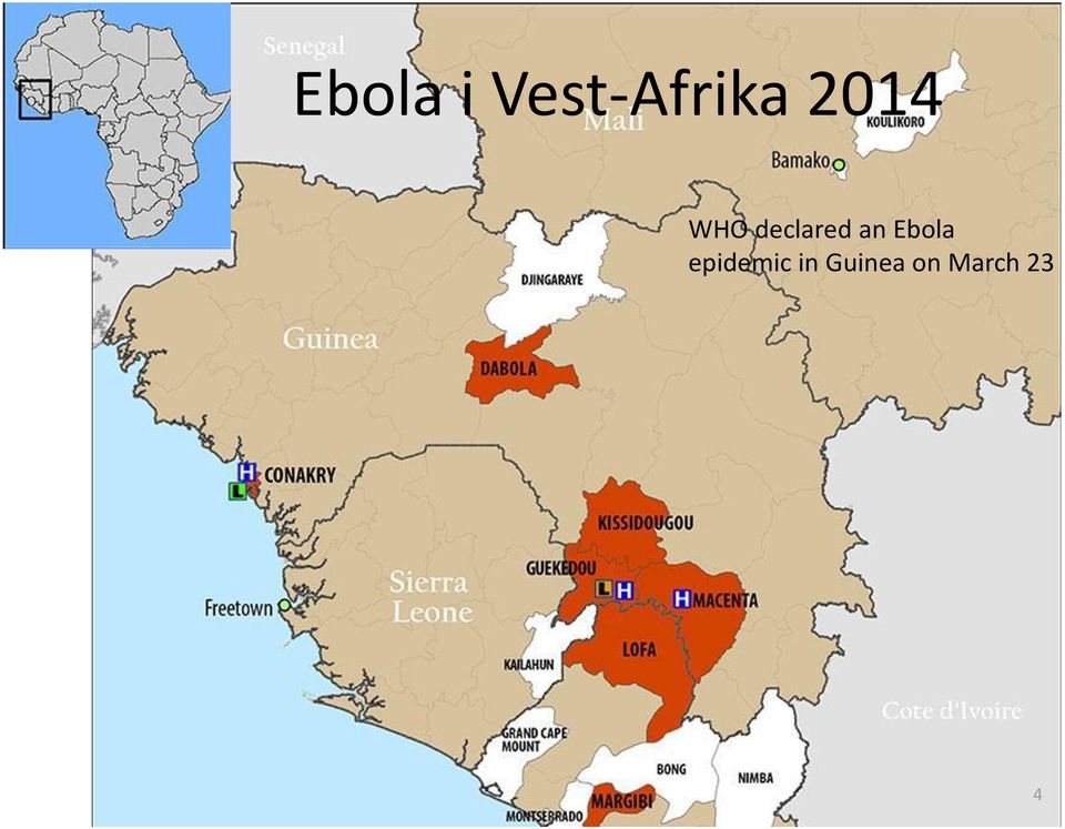 an Ebola epidemic