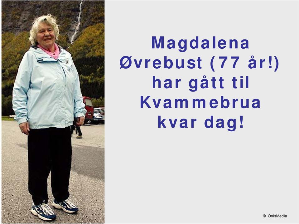 ) har gått til