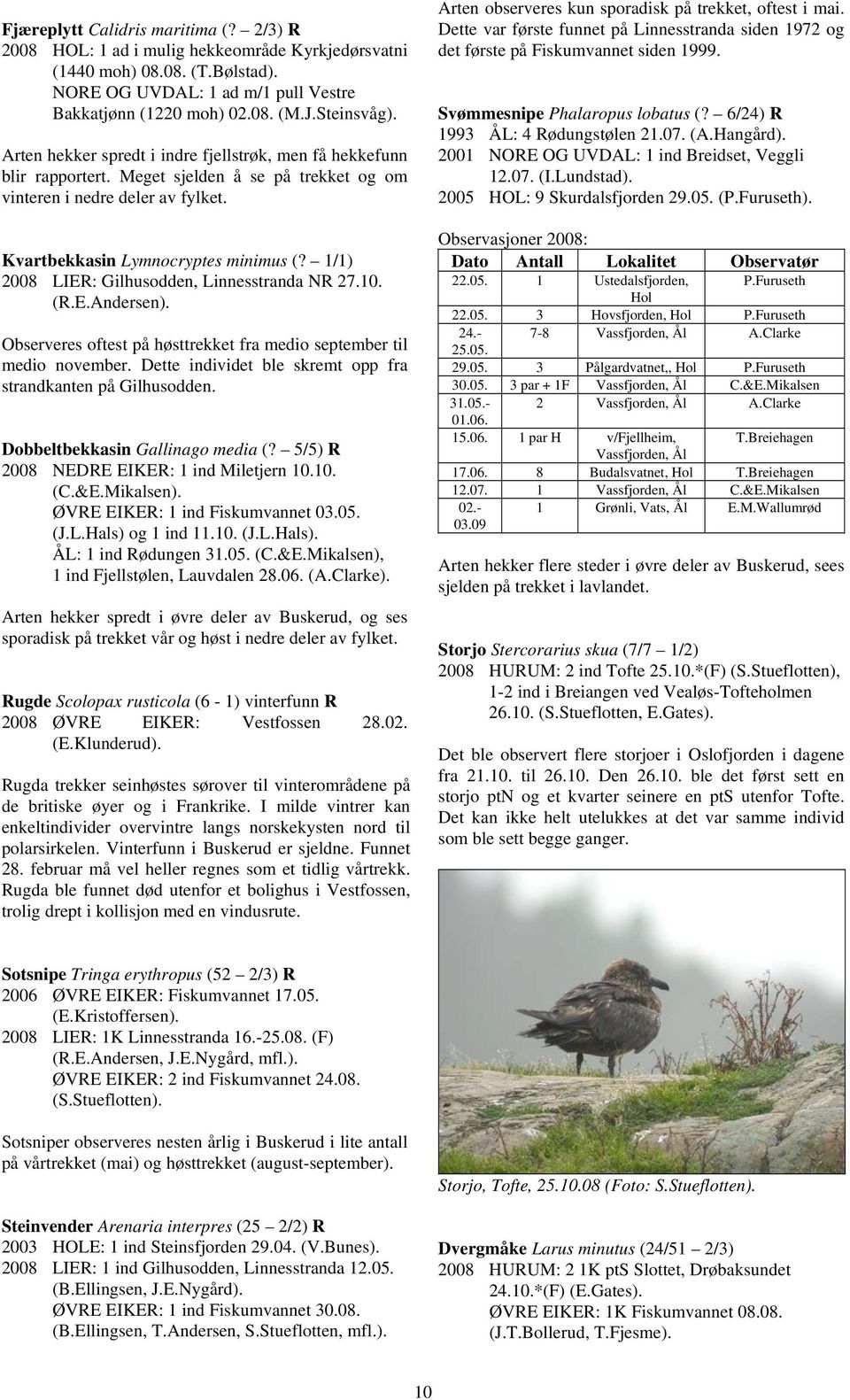 1/1) 2008 LIER: Gilhusodden, Linnesstranda NR 27.10. (R.E.Andersen). Observeres oftest på høsttrekket fra medio september til medio november.