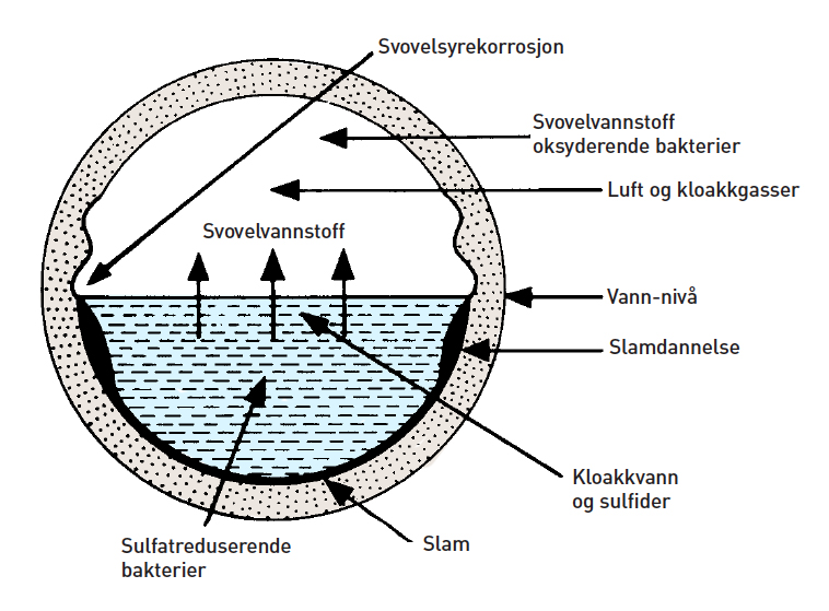 Sulfater og nitrater vil reagere med aluminatene i sementen. Ved denne reaksjonen dannes det reaksjonsprodukter som binder vann og får en stor volumøkning.