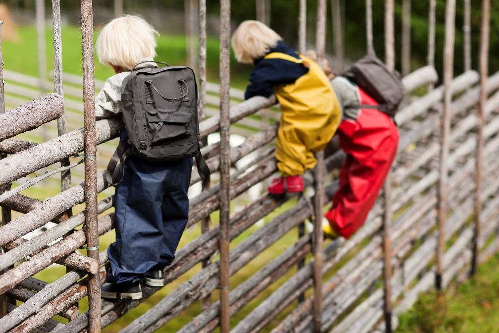 Hva er bevegelsespraksis i egen barnehage? Hva / hvor leker barna i vår barnehage?