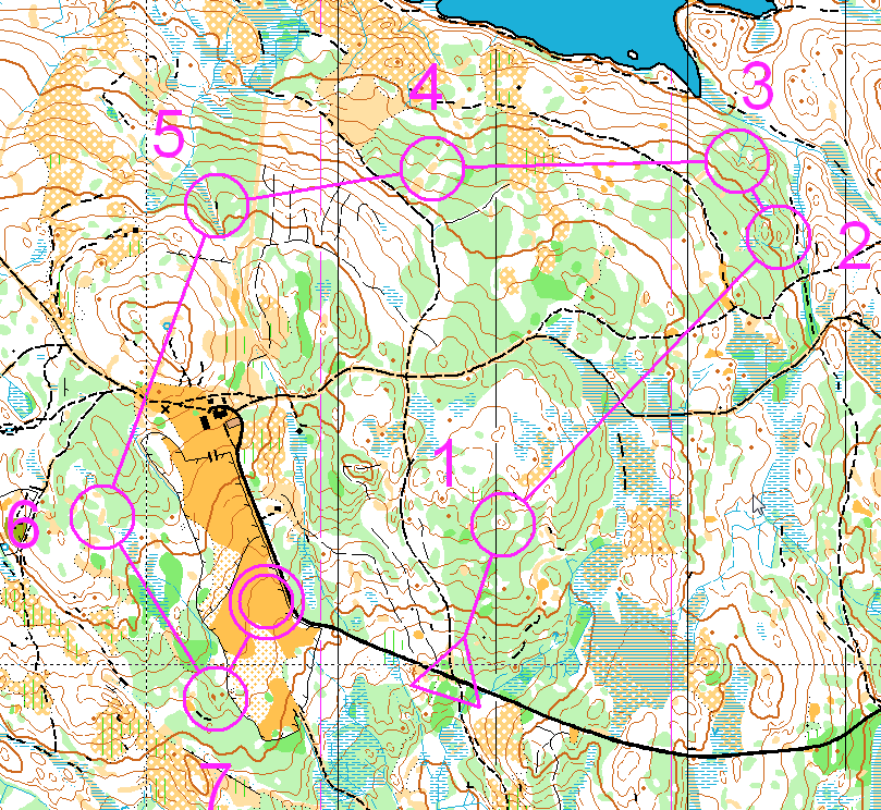 Fint terreng/krevende terreng/myr/hogstfelt/plantefelt Alle løpere fortjener minst ett strekk i fin skog med høy fart.