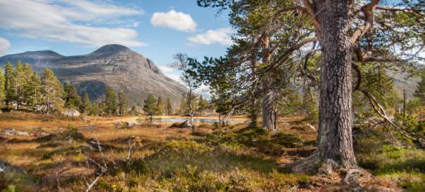 landskapsvernområder, Svartåmoen og