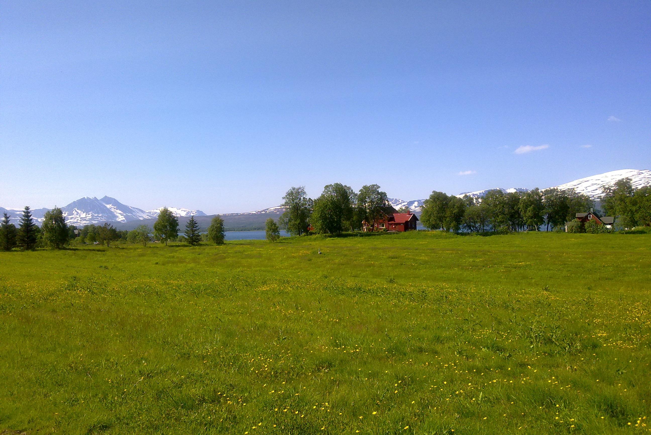 Viktige planteegenskaper i et framtidig nordlig klima Sigríður