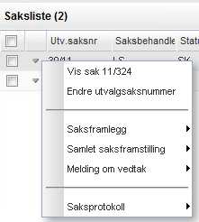 korrekte saker samt saksnummer, dersom disse allerede er tildelt. (Hvis du ikke har påført saksnummer, se kap. 5.