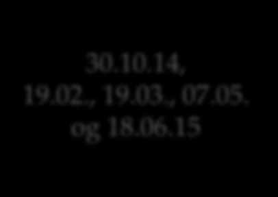 Prsjektrganisering Fase 1 Prsjekteier Gran g Lunner Kmmunestyret 30.10.14, 19.02., 19.03., 07.05. g 18.06.