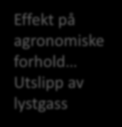 kritisk nivå av moldinnhold for å opprettholde avling stabilitet Eksperimentalt forskning ved bruk av VIS-NIR, Hyperspectral imaging og x- ray scanning for