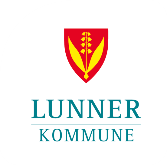 Kommunal planstrategi for Lunner kommune 2016-2019 Versjon