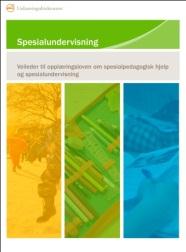 Føremålet med desse reglane i opplæringslova er å sikre at tilbod om spesialundervisning bygger på faglege tilrådingar, og at slikt tilbod blir utarbeidd i nært samarbeid mellom skolen og eleven/