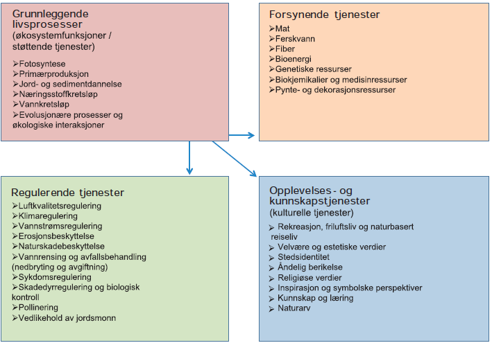 Figur 2.4 Hovedkategorier av norske økosystemtjenester i henhold til NOU 2013:10.