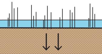 Elementer Regnbed eller tilsvarende REGNBED ELLER TILSVARENDE Parametere Intersepsjon X int. 0 mm Magasinering X gro.