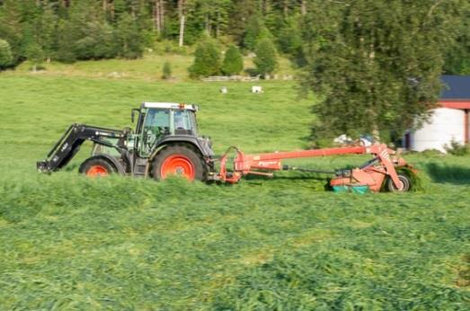 Satsingsområdet - NÆRING Hovudmål Meir om bakgrunn i grunnlagsdokument s.