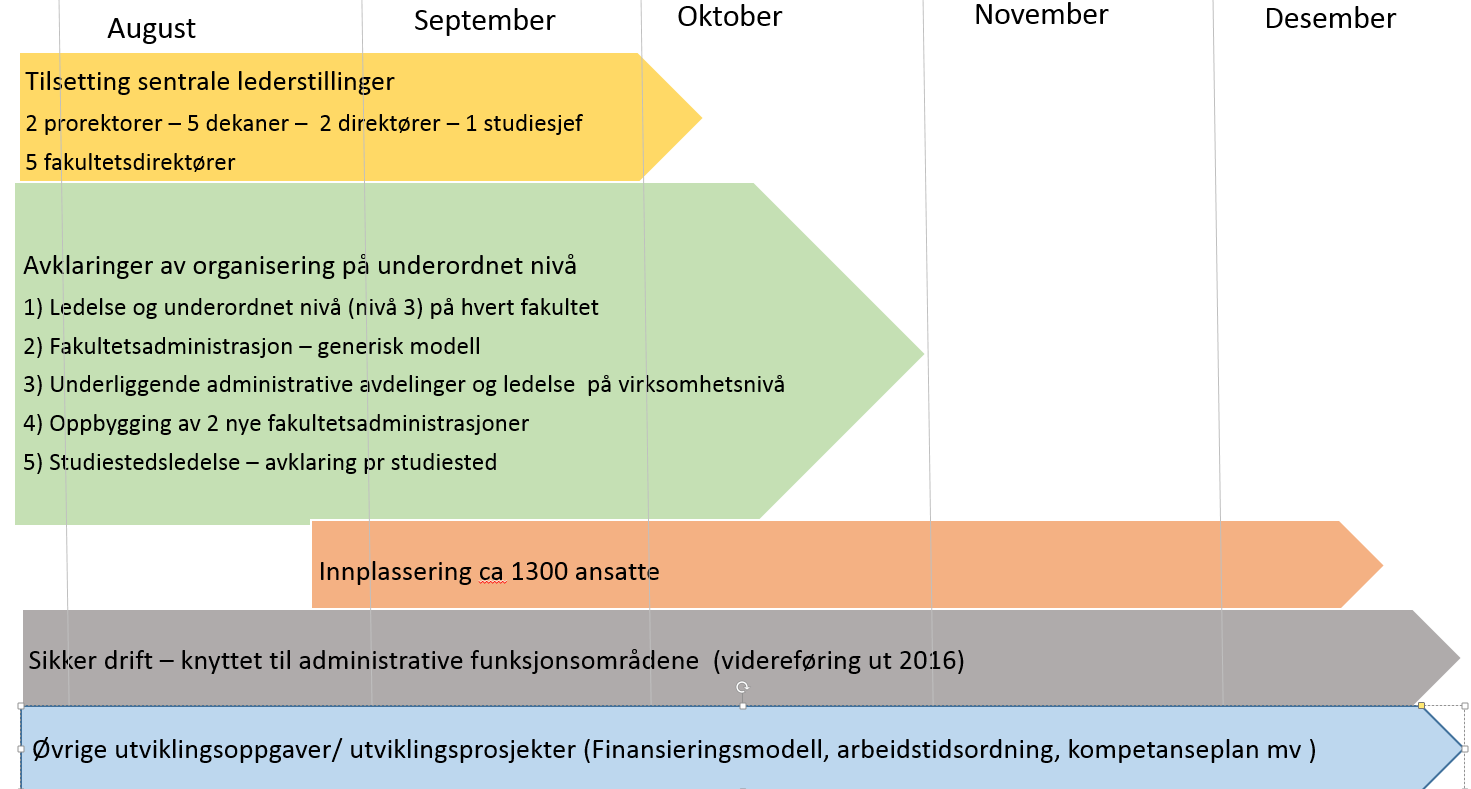 I det videre arbeidet legges det til grunn at stedlig ledelse forstås som en administrativ funksjon og skal være et kompenserende tiltak der vedtatt linjeorganisering ikke gir tilstrekkelig lokal