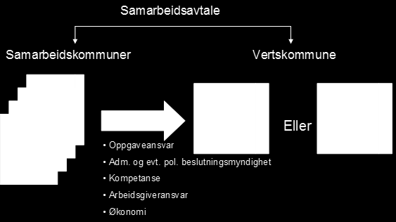 Prinsippskisse administrativ løsning eller skal vertskommunen utøve politisk myndighet?