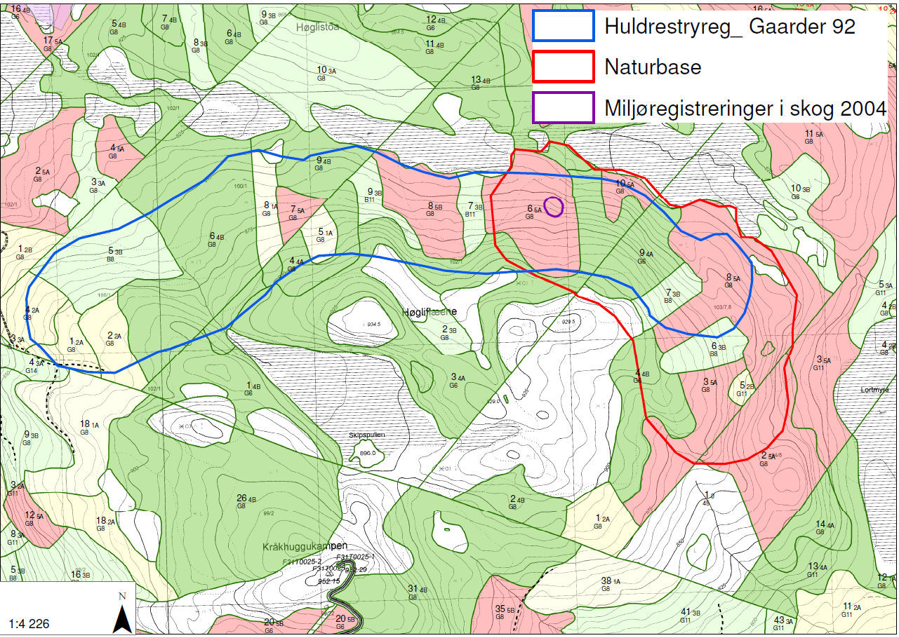 Eksempel: Kartlegging av huldrestry Hva kan forklaringene på ulikhetene i avgrensning mellom registreringen i 2002, MiS og naturtypefiguren i Naturbase?