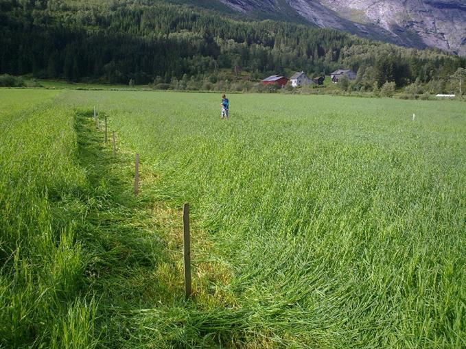 Avling i kg tørrstoff pr. dekar i høve til nitrogengjødslingsstyrke på feltet i Stardalen i 3 år. Avling oppgitt for kvar slått.