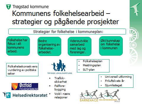 Figur 2 Folkehelsearbeidet i Trøgstad 4.3 Hvilken rolle kan Fylkeskommunen ha i det videre arbeidet?