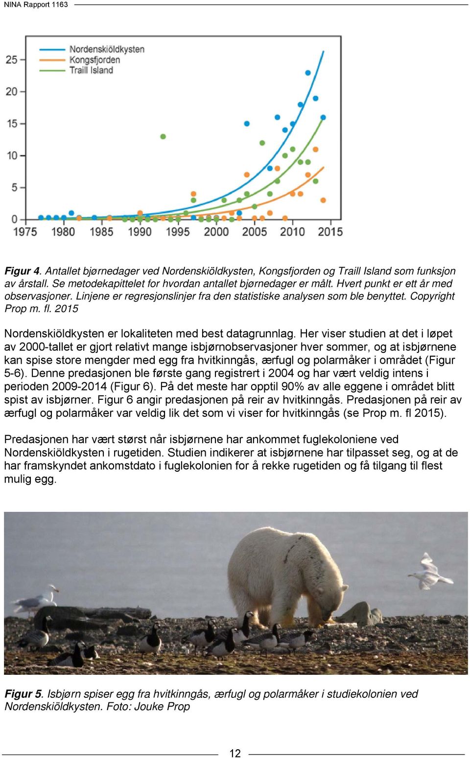 Her viser studien at det i løpet av 2000-tallet er gjort relativt mange isbjørnobservasjoner hver sommer, og at isbjørnene kan spise store mengder med egg fra hvitkinngås, ærfugl og polarmåker i