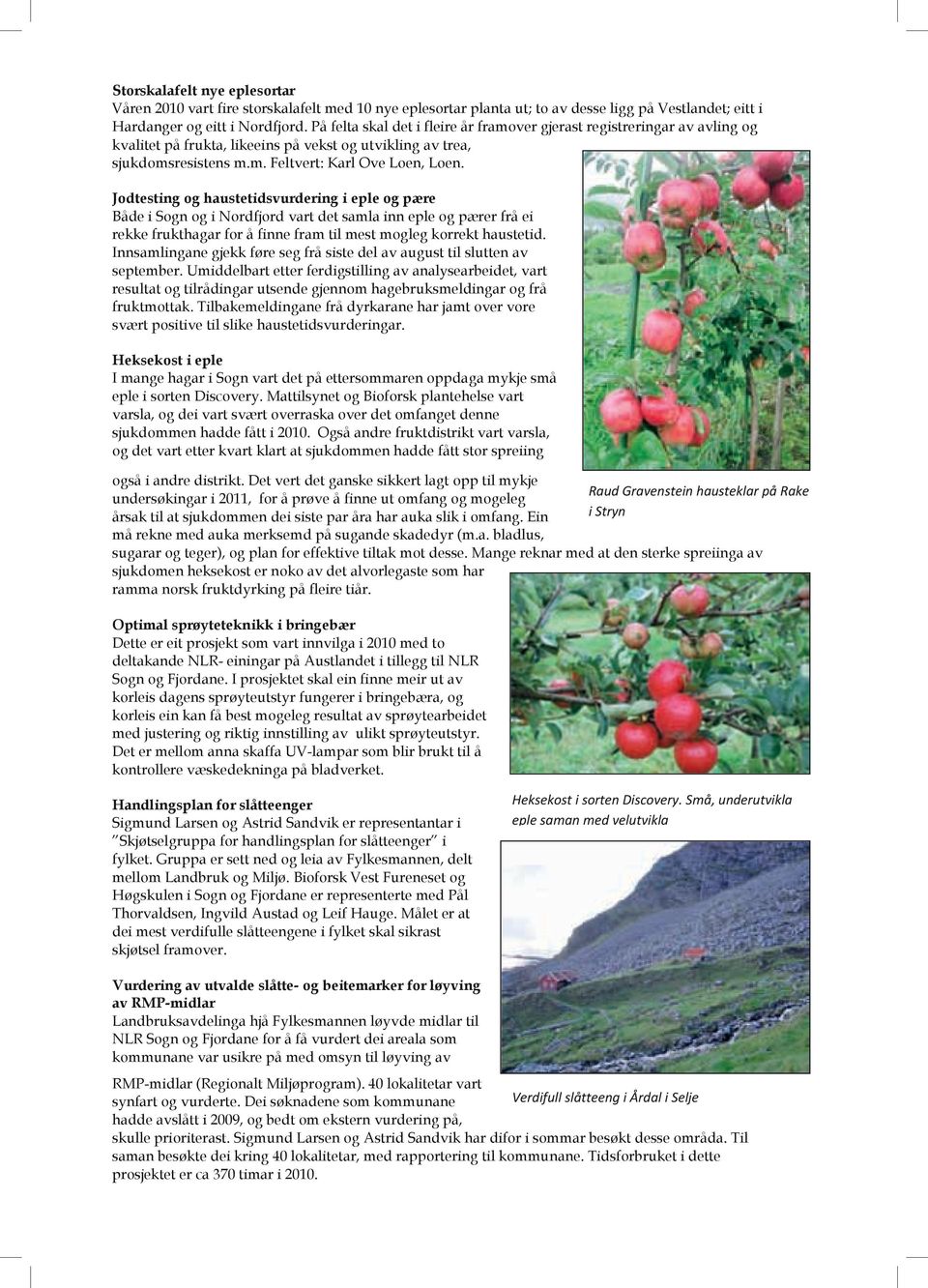 Jodtesting og haustetidsvurdering i eple og pære Både i Sogn og i Nordfjord vart det samla inn eple og pærer frå ei rekke frukthagar for å finne fram til mest mogleg korrekt haustetid.