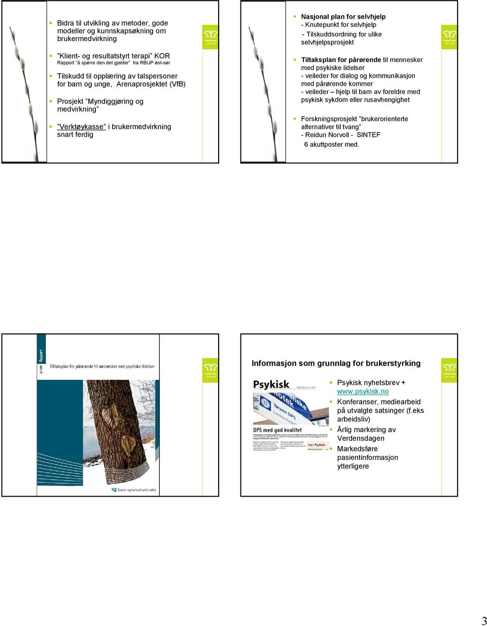 Tilskuddsordning for ulike selvhjelpsprosjekt Tiltaksplan for pårørende til mennesker med psykiske lidelser - veileder for dialog og kommunikasjon med pårørende kommer - veileder hjelp til barn av