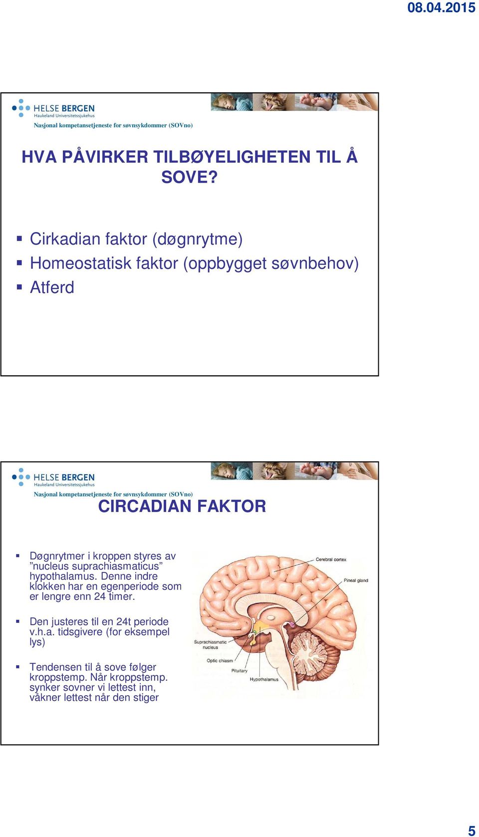 suprachiasmaticus hypothalamus. Denne indre klokken har en egenperiode som er lengre enn 24 timer. Den justeres til en 24t periode v.h.a. tidsgivere (for eksempel lys) Temperatur ( o C) 37.