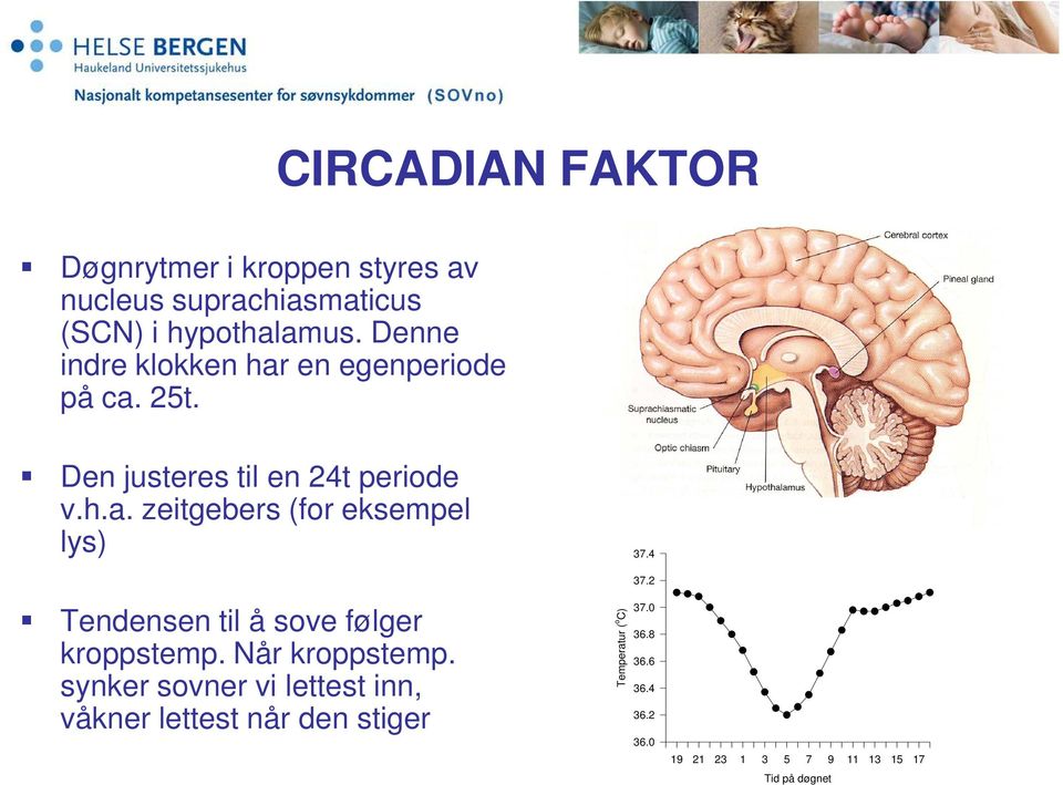 4 Tendensen til å sove følger kroppstemp. Når kroppstemp.