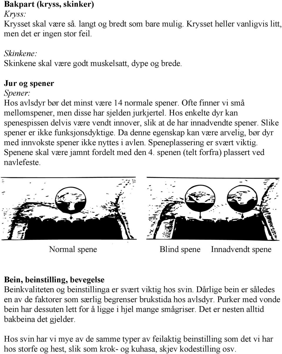 Hos enkelte dyr kan spenespissen delvis være vendt innover, slik at de har innadvendte spener. Slike spener er ikke funksjonsdyktige.