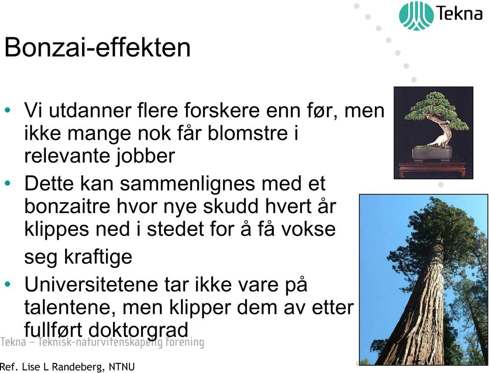 hvert år klippes ned i stedet for å få vokse seg kraftige Universitetene tar ikke