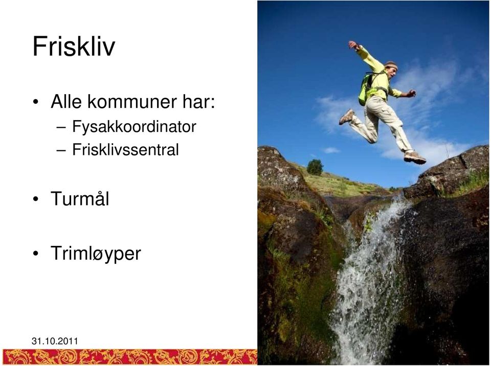 Fysakkoordinator