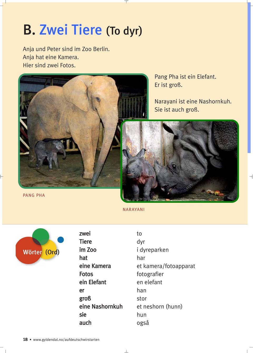 PANG PHA NARAYANI Wörter (Ord) zwei Tiere im Zoo hat eine Kamera Fotos ein Elefant er groß eine Nashornkuh sie