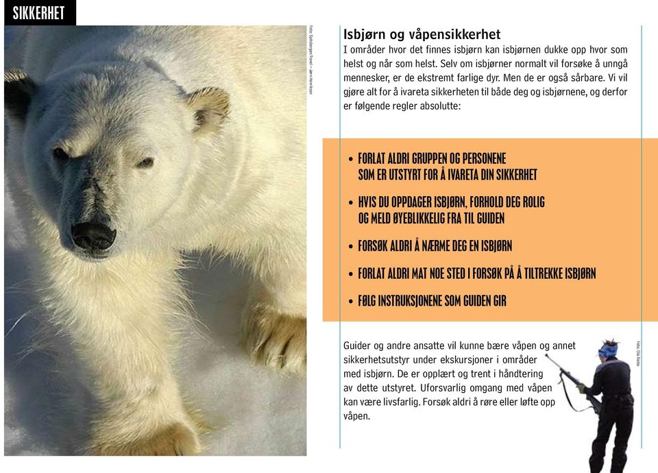 Vi vil gjøre alt for å ivareta sikkerheten til både deg og isbjørnene, og derfor er følgende regler absolutte: FORLAT ALDRI GRUPPEN OG PERSONENE SOM ER UTSTYRT FOR Å IVARETA DIN SIKKERHET HVIS DU