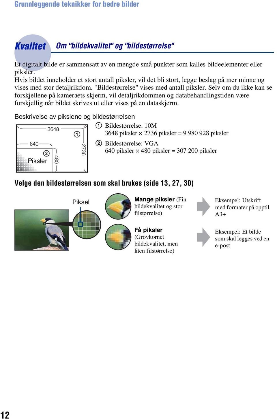 Selv om du ikke kan se forskjellene på kameraets skjerm, vil detaljrikdommen og databehandlingstiden være forskjellig når bildet skrives ut eller vises på en dataskjerm.