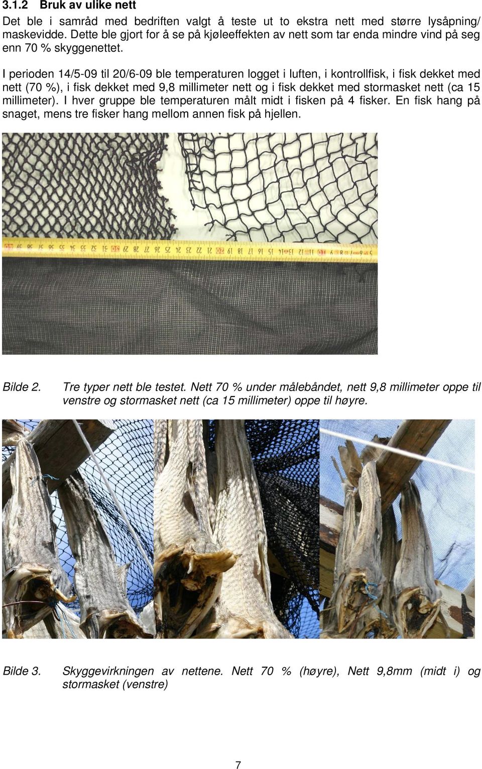 I perioden 14/5-09 til 20/6-09 ble temperaturen logget i luften, i kontrollfisk, i fisk dekket med nett (70 %), i fisk dekket med 9,8 millimeter nett og i fisk dekket med stormasket nett (ca 15