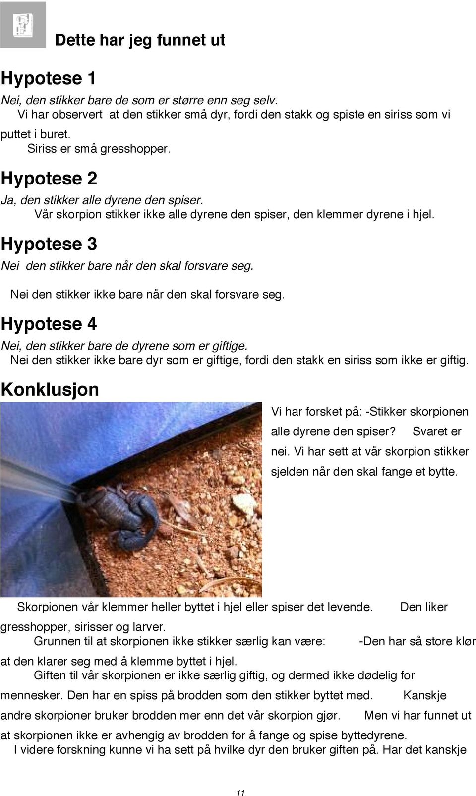 Hypotese 3 Nei den stikker bare når den skal forsvare seg. Nei den stikker ikke bare når den skal forsvare seg. Hypotese 4 Nei, den stikker bare de dyrene som er giftige.