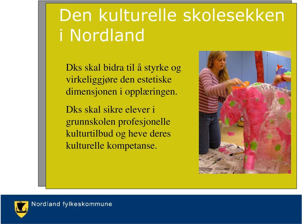 Dks skal sikre elever i grunnskolen