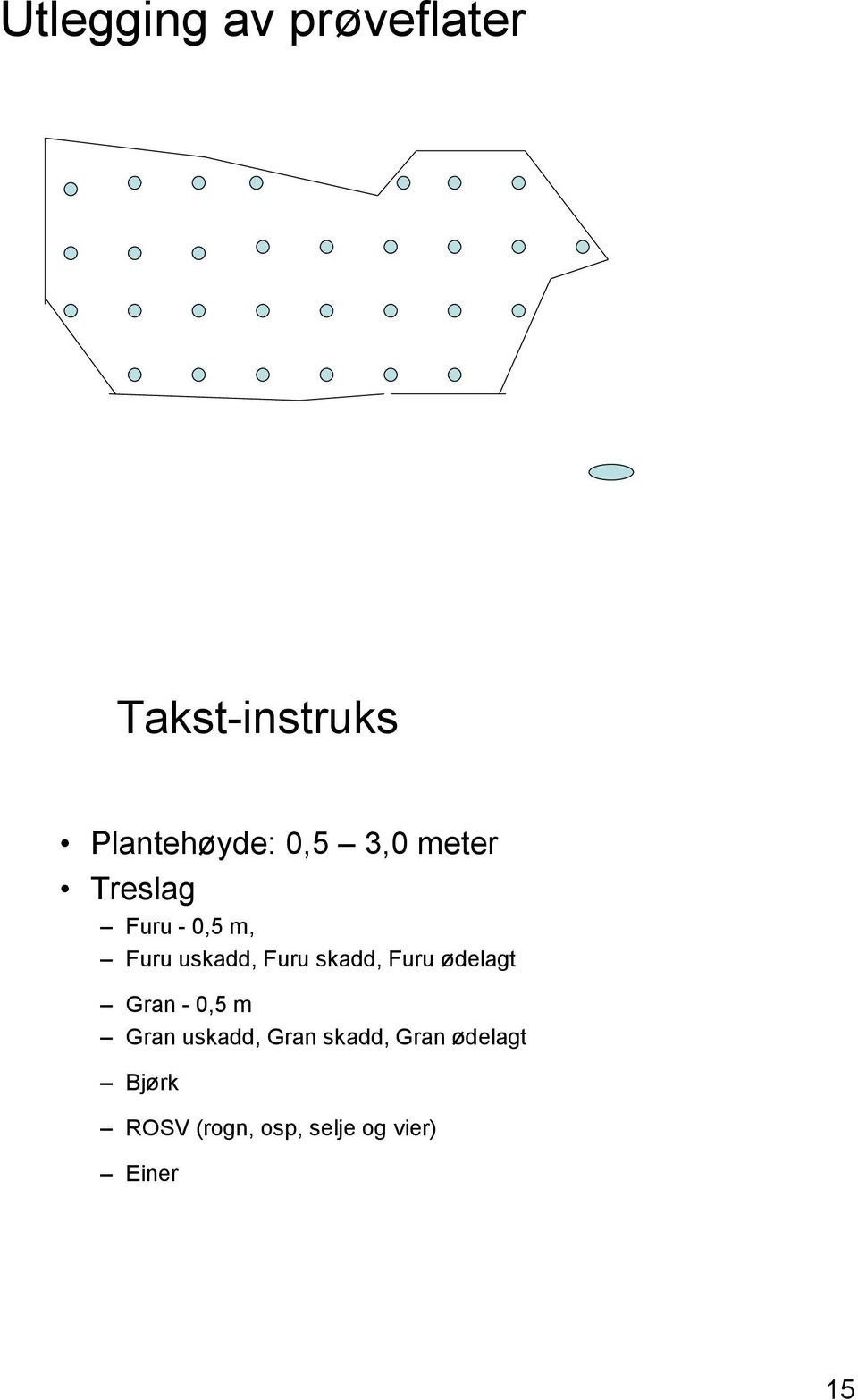 skadd, Furu ødelagt Gran - 0,5 m Gran uskadd, Gran