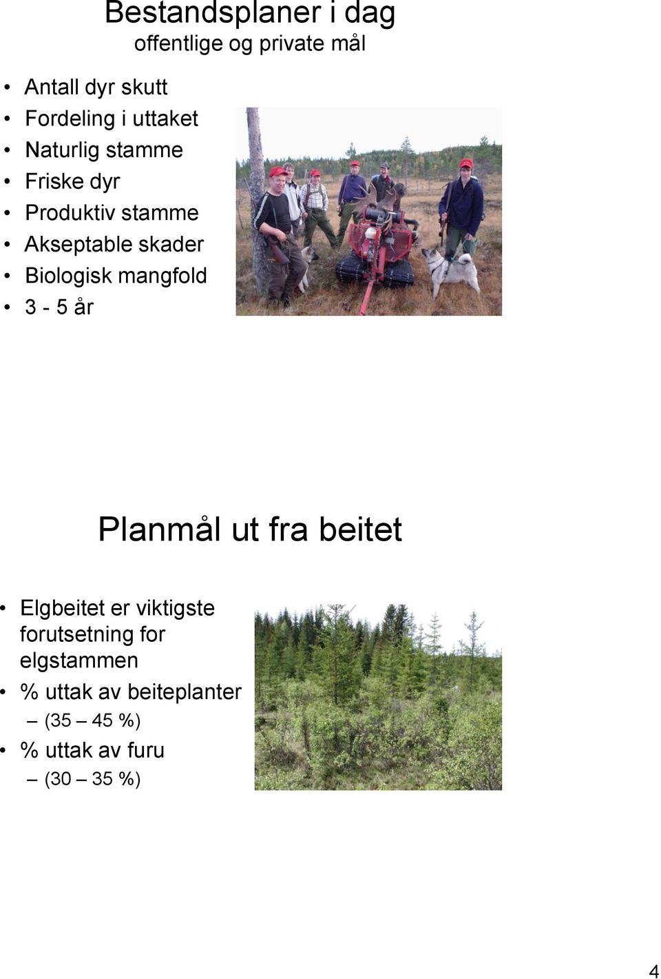 Biologisk mangfold 3-5 år Planmål ut fra beitet Elgbeitet er viktigste