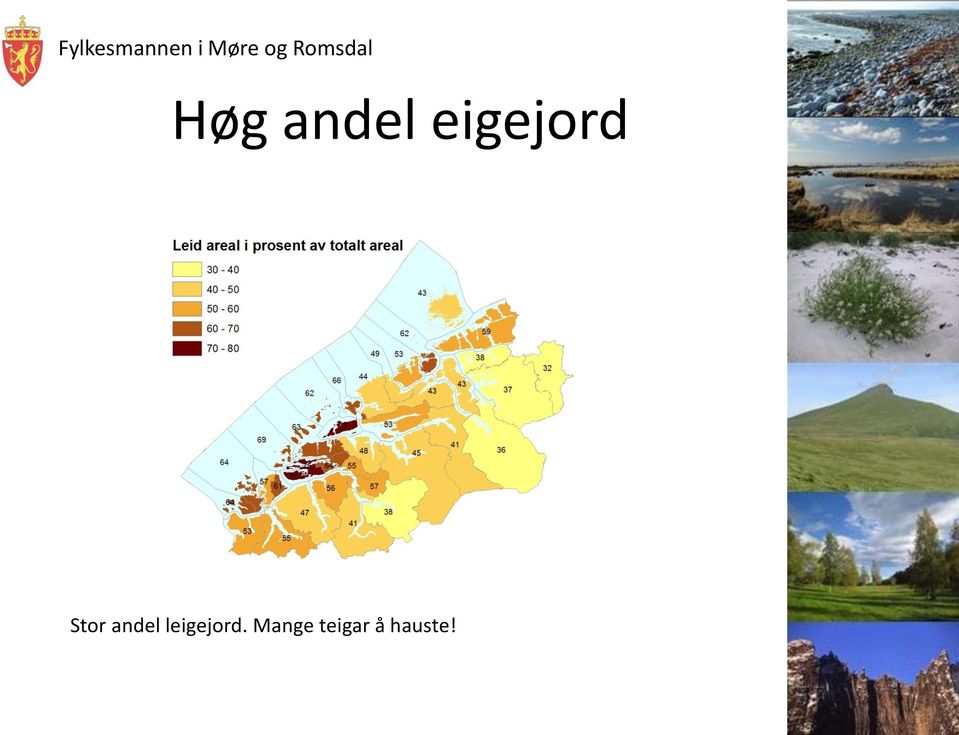 andel leigejord.